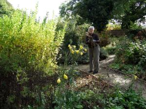 Volunteer gardener at work in the Walled Garden. Photo: Artemisia